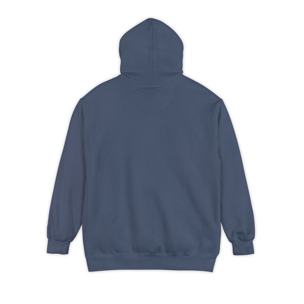 Need Money For M5 Hoddie