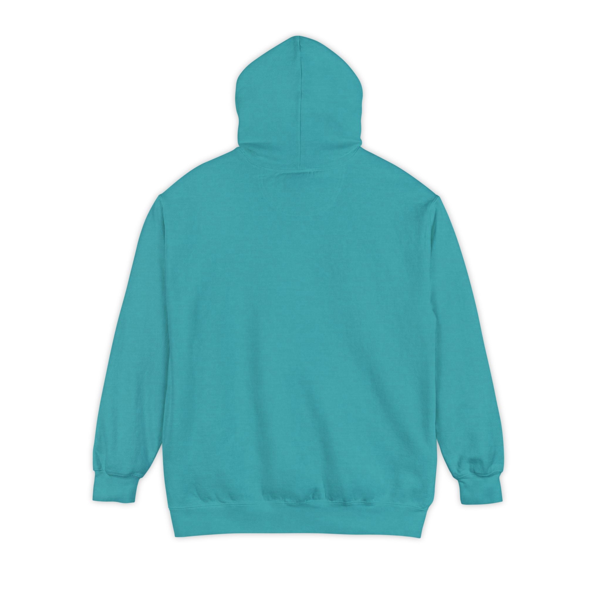 Need Money For M5 Hoddie