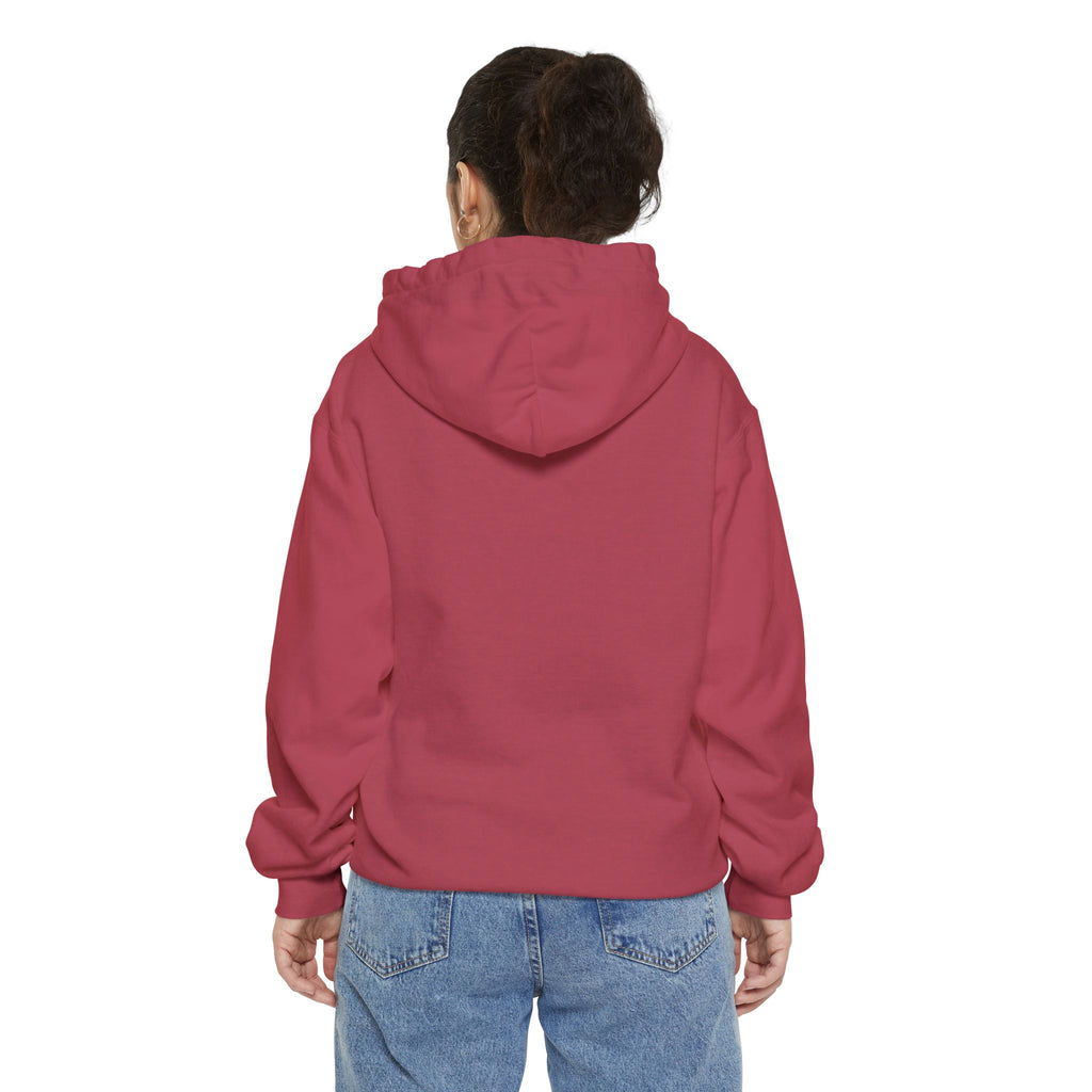 Need Money For M5 Hoddie