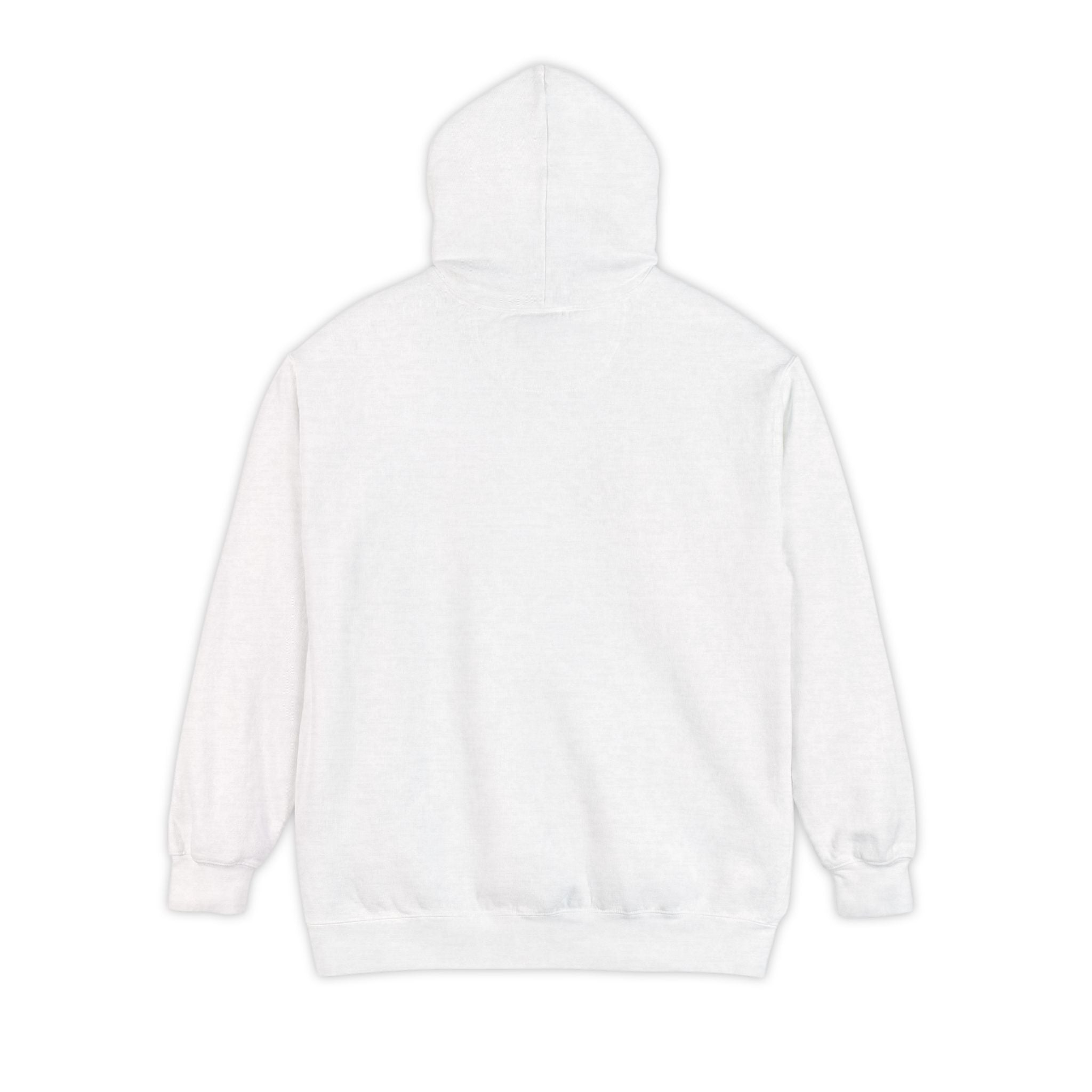 Need Money For M5 Hoddie