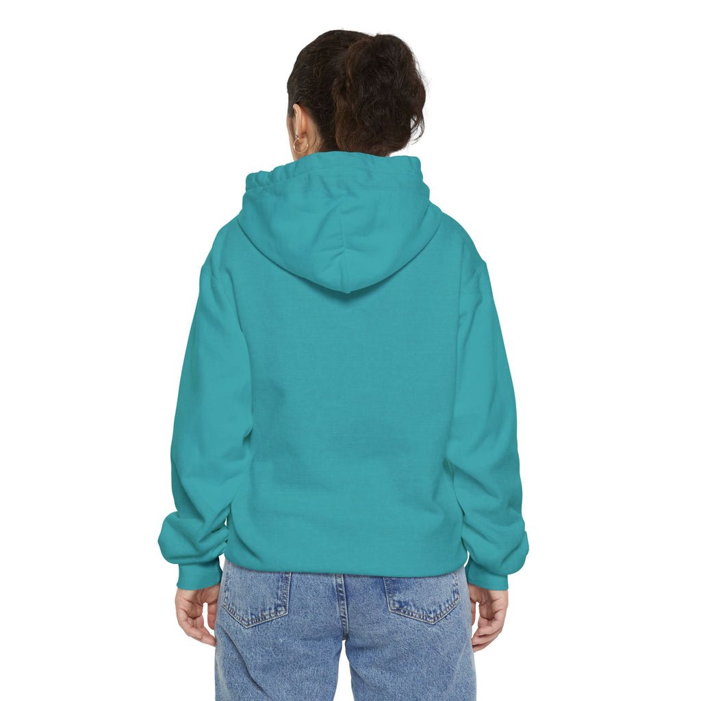 Need Money For M5 Hoddie