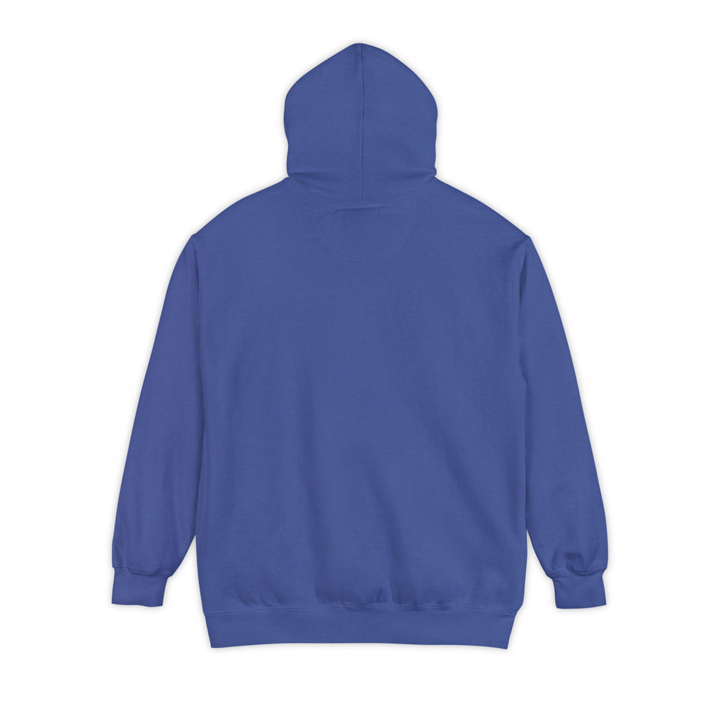 Need Money For M5 Hoddie