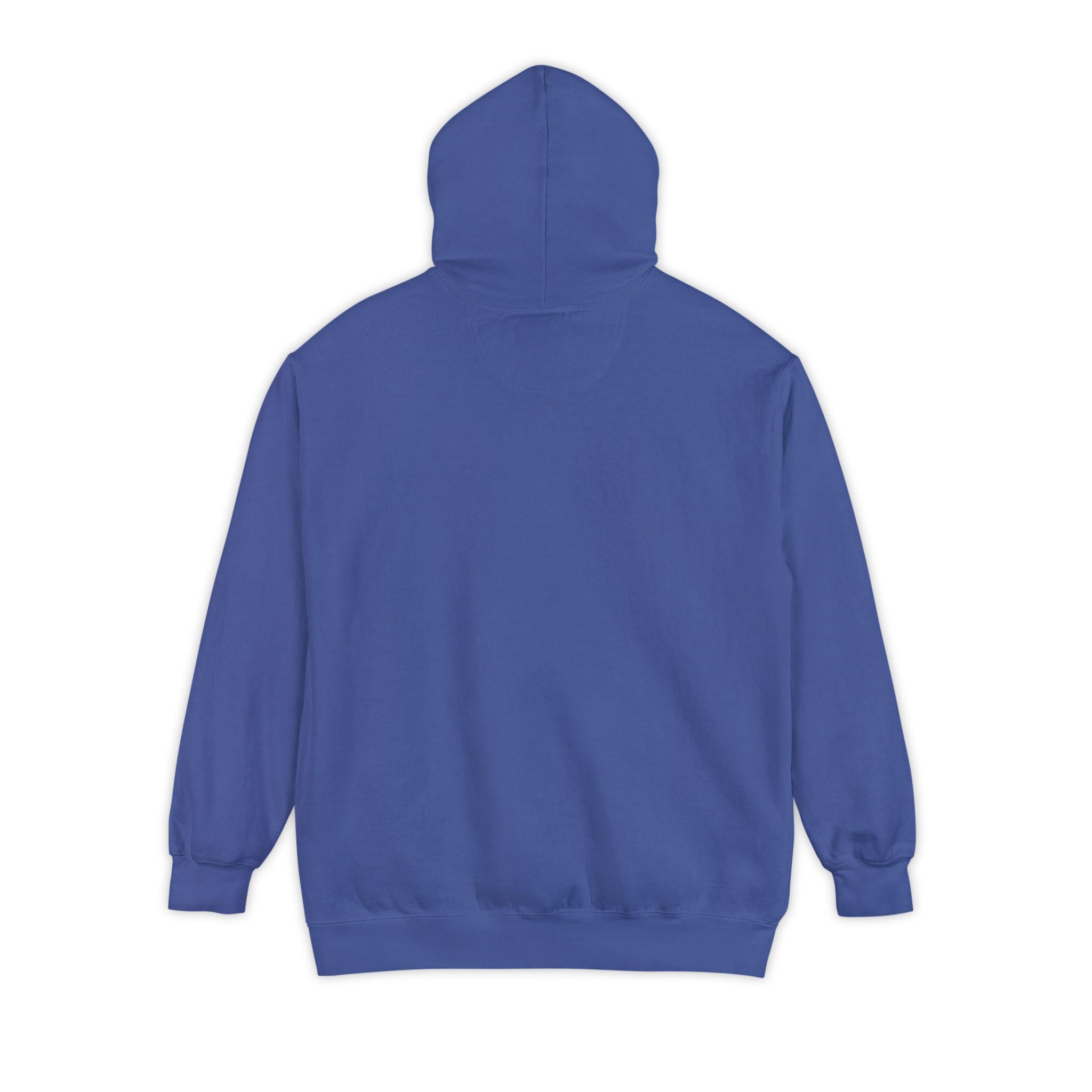 Need Money For M5 Hoddie