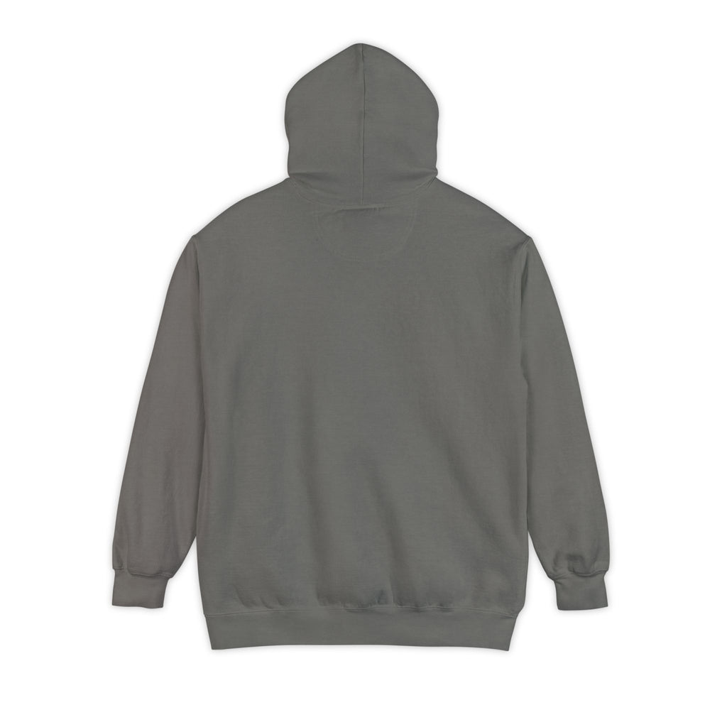 Need Money For M5 Hoddie