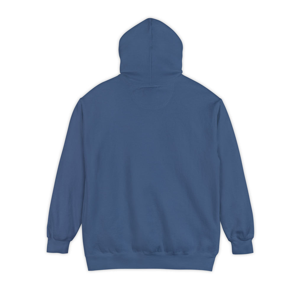 Need Money For M5 Hoddie